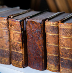 FREE: Untold History