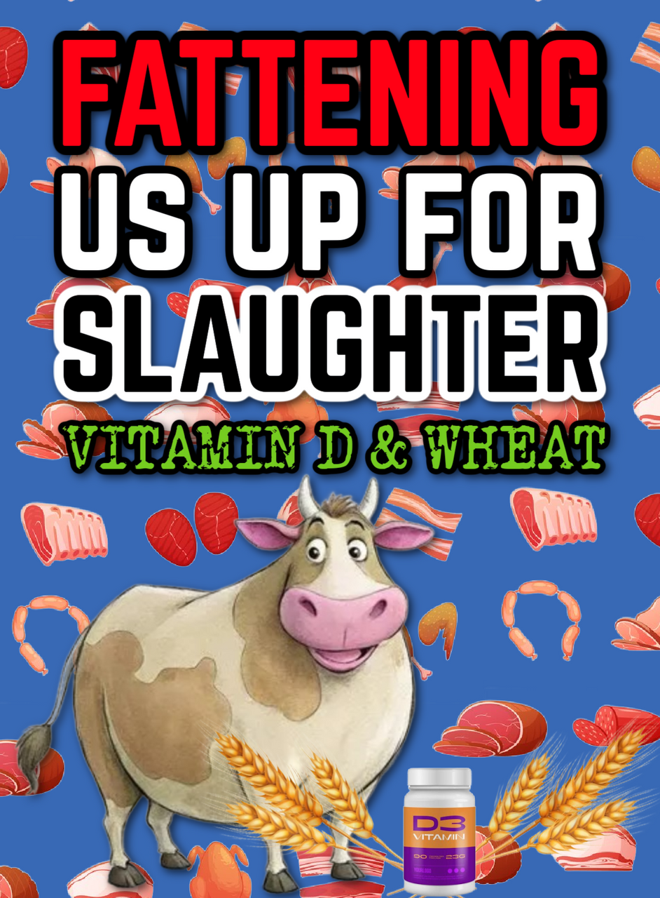 Fattening us up for SLAUGHTER:  Vitamin D & Wheat (eBook by Agent131711)