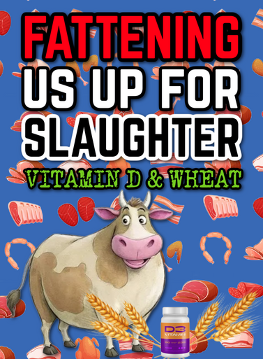 Fattening us up for SLAUGHTER:  Vitamin D & Wheat (eBook by Agent131711)