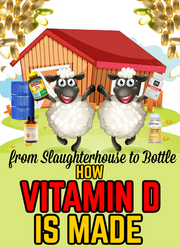 From Slaughterhouse to Bottle: How Vitamin D is Made (eBook by Agent131711)