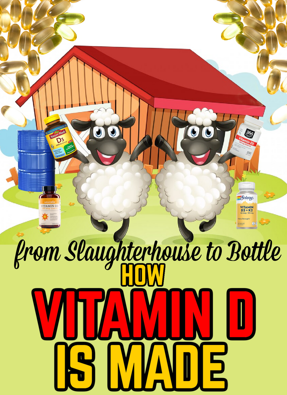 From Slaughterhouse to Bottle: How Vitamin D is Made (eBook by Agent131711)