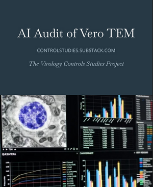 The AI AUDIT Of Their Own Work: Will AI Confirm It? Or DEBUNK IT?  (eBook Jamie Andrews)