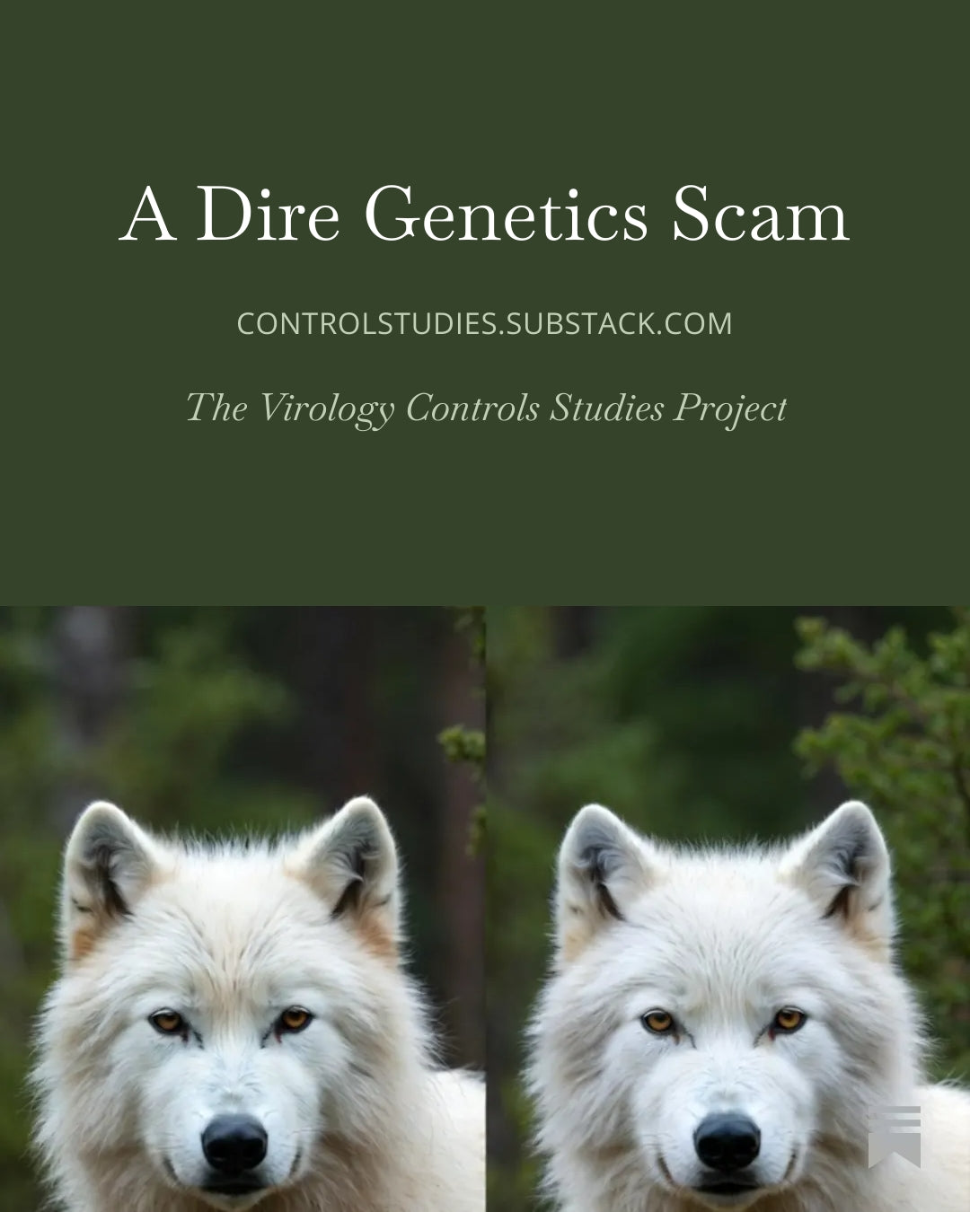 A Dire Genetics Scam: Science Claims to Resurrect a Dinosaur Wolf (eBook Jamie Andrews)