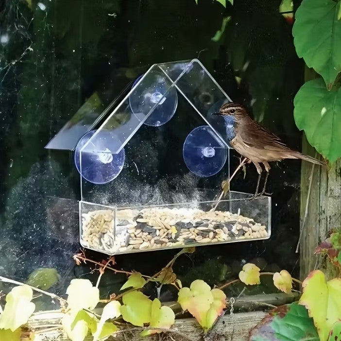 Window Bird Feeder - Easy Install Suction Cup Attach