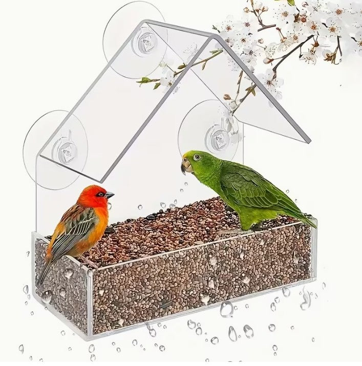 Window Bird Feeder - Easy Install Suction Cup Attach
