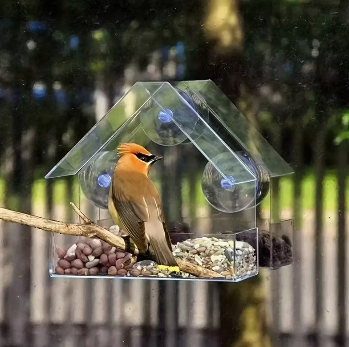 Window Bird Feeder - Easy Install Suction Cup Attach
