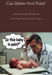 Can Babies Feel Pain? Science Said NO (eBook Jamie Andrews)