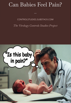 Can Babies Feel Pain? Science Said NO (eBook Jamie Andrews)