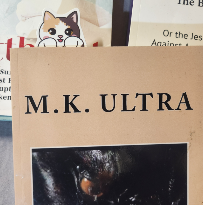 5 pieces! Large Cat BOOKMARKS - Assorted Kitties