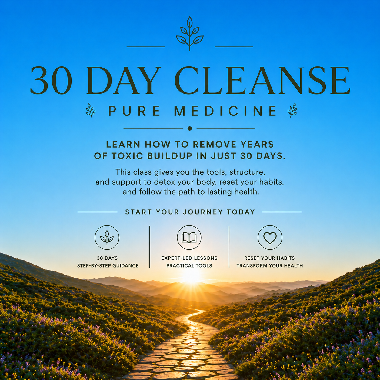 Pure Medicine: 30 Day Cleanse - Remove Years Of Toxic Buildup - Starting May 16th