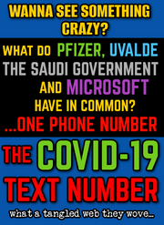 Wanna See Something Crazy? The Covid-19 TEXT NUMBER: What a Tangled Web They Wove (eBook by Agent131711)