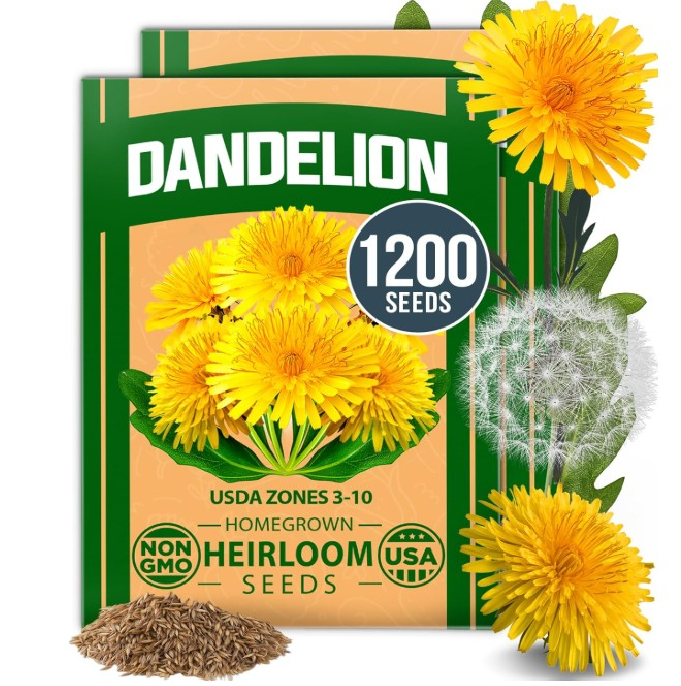 2 Packs! 1,200 Heirloom Dandelion Seeds