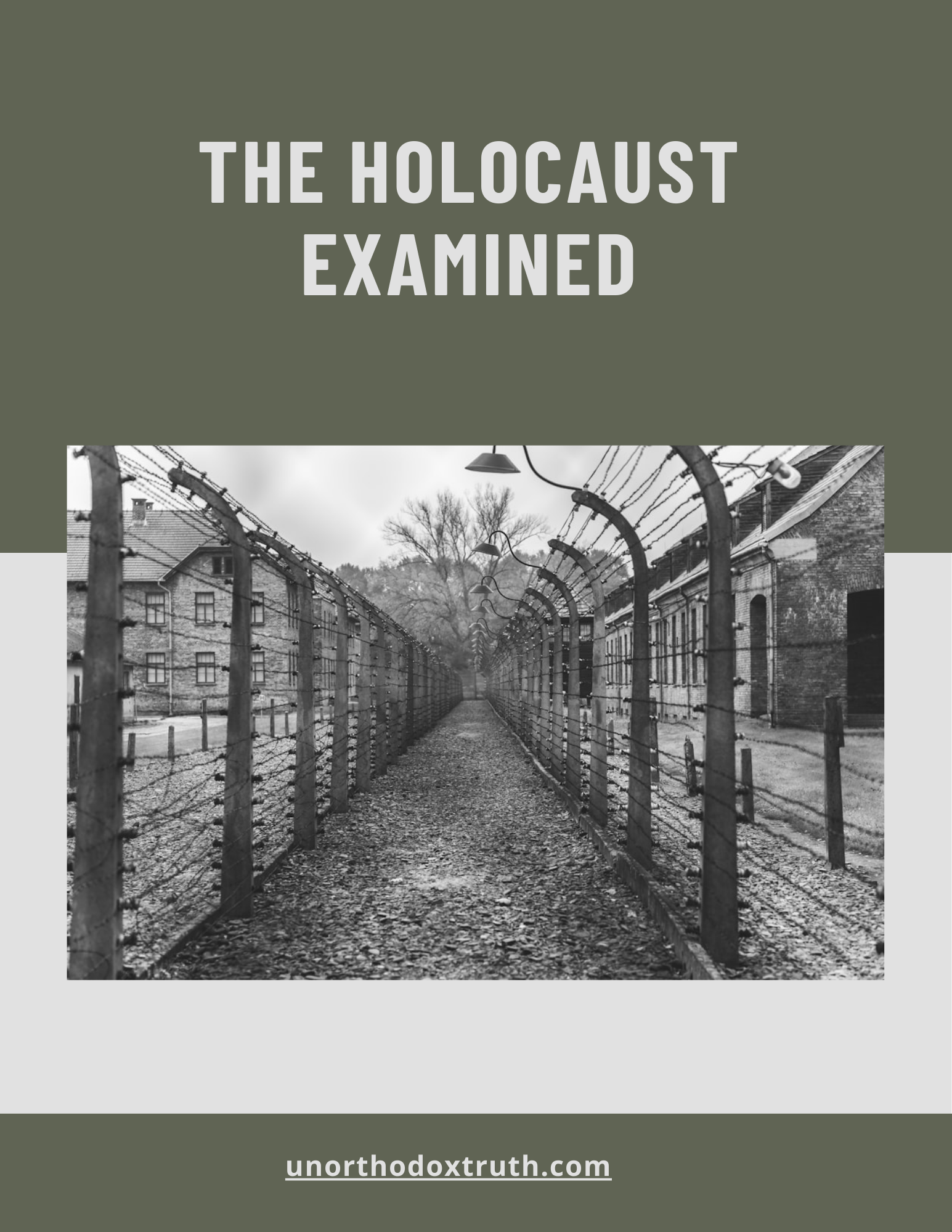 Holocaust Examined (eBook by Unorthodoxy)