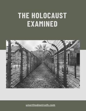 Holocaust Examined (eBook by Unorthodoxy)