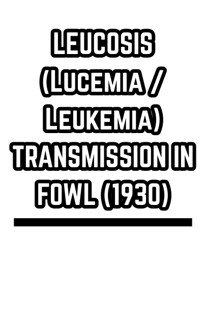 LEUCOSIS (Lucemia / Leukemia) TRANSMISSION IN FOWL (1930)