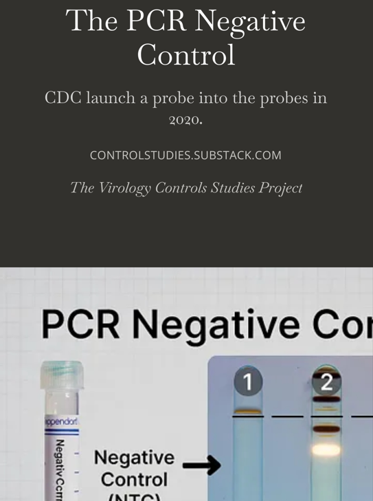 The PCR Negative Control (eBook Jamie Andrews)