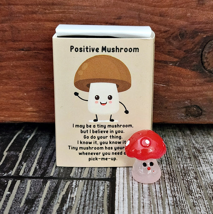 Positivity Mushroom - I Have Your Back - Boxed Motivational Trinket