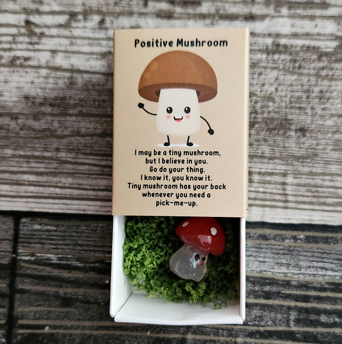 Positivity Mushroom - I Have Your Back - Boxed Motivational Trinket