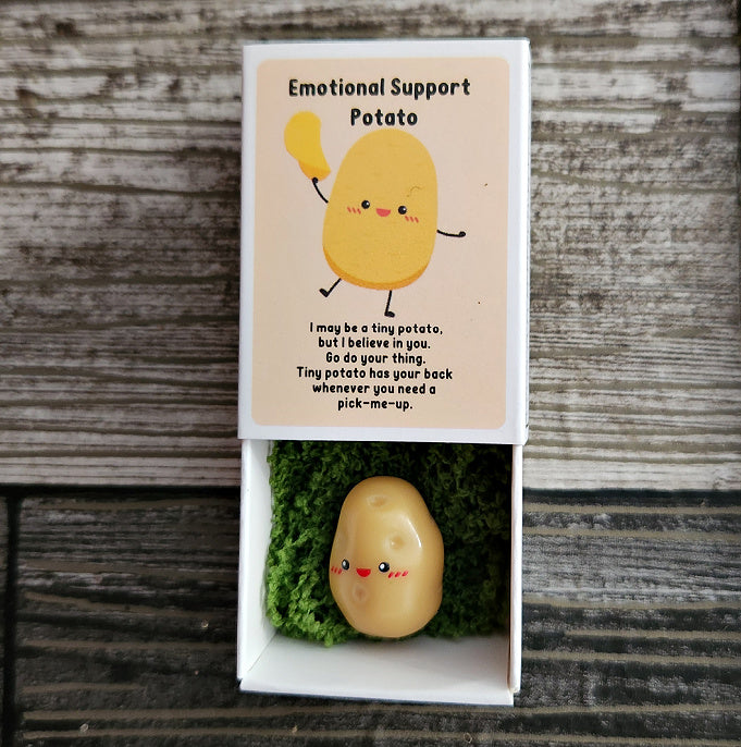 Positivity Potato - I Believe in You - Boxed Motivational Trinket