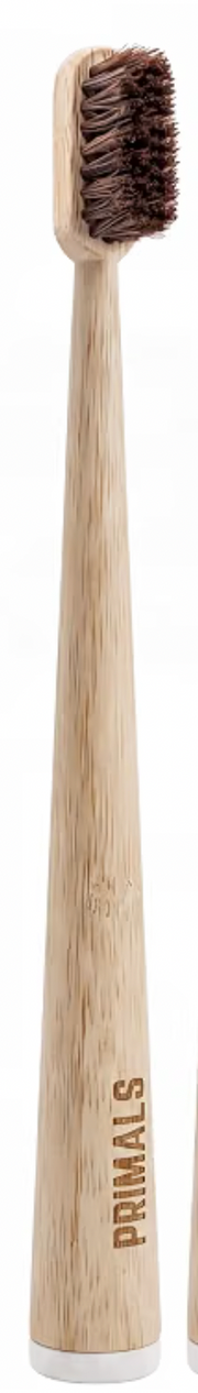 All Natural Horsehair Toothbrush