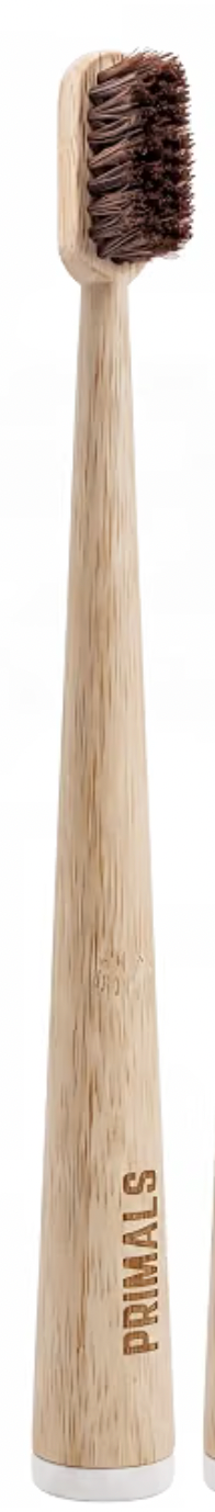 All Natural Horsehair Toothbrush