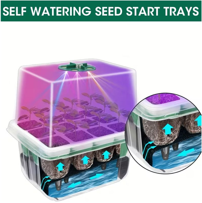 5 pack Kit! Seed Starter Trays with Grow Lights! Germinate Like a Pro