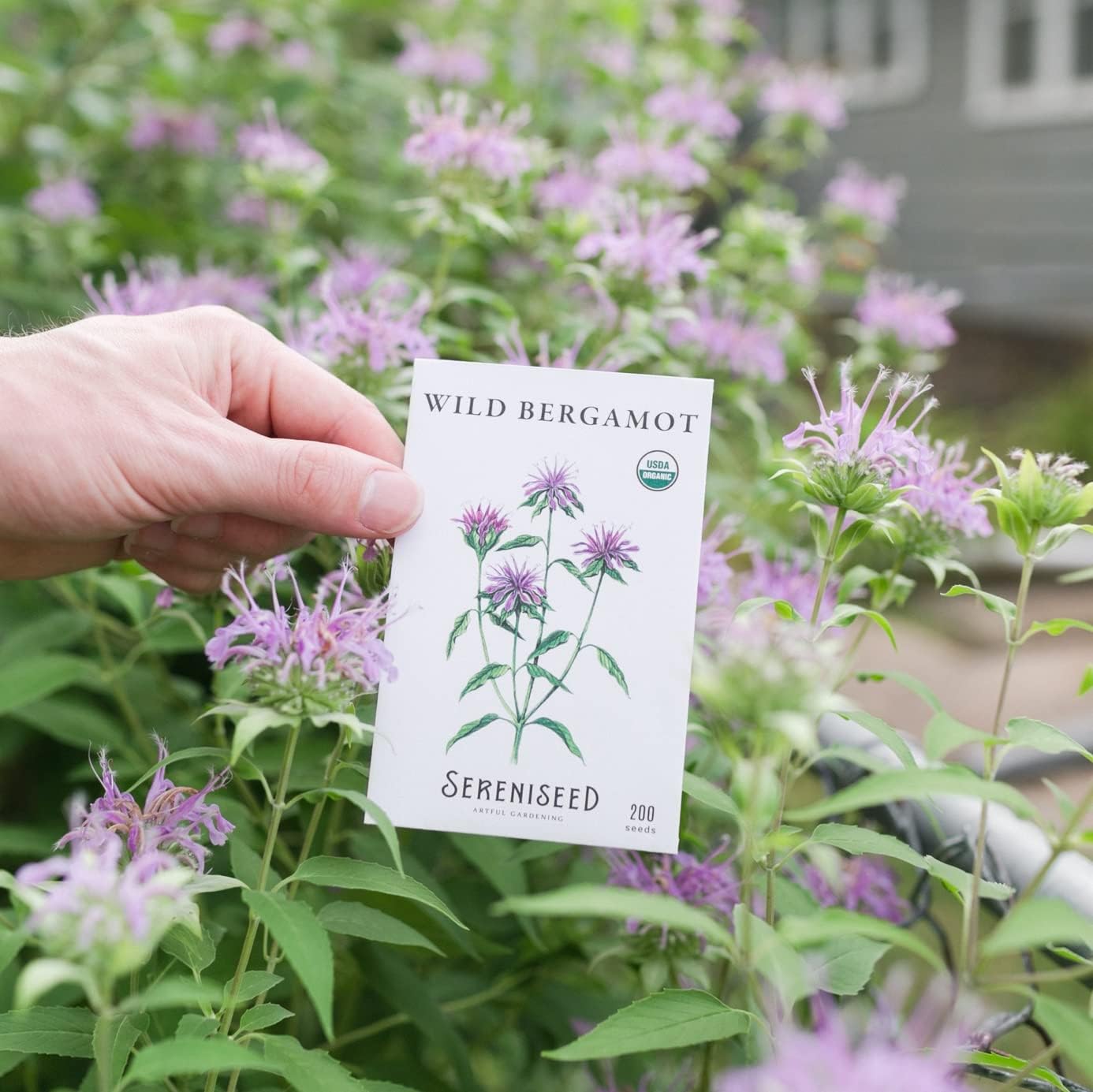 Lavender, Lemon Balm, Chamomile, Marjoram, Peppermint, Basil, Coneflower, Bergamot, Calendula, Catnip Seeds