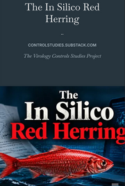 The IN SILICO Red Herring (eBook by Jamie Andrews)