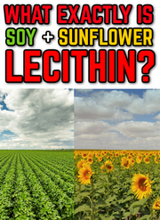 What is Soy and Sunflower Lecithin Ingredient? Is it Healthy? (eBook by Agent131711)