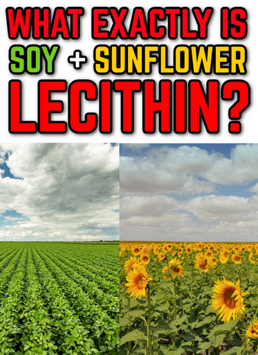 What is Soy and Sunflower Lecithin Ingredient? Is it Healthy? (eBook by Agent131711)