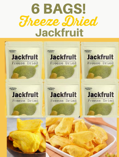 6 Packs of Freeze Dried Jack Fruit (A-1-3)