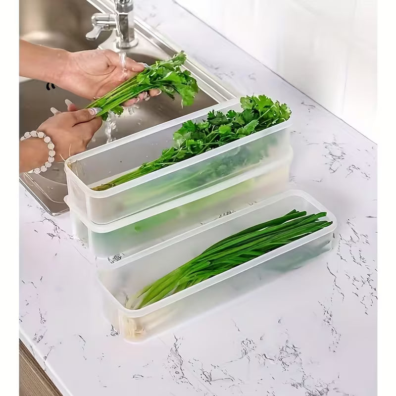 6pc Set of Long Narrow Food Storage Containers - Asparagus, Fresh Herbs, Noodles & More