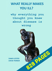 What REALLY Makes You Ill? Why EVERYTHING You Thought You Knew About Disease is Wrong (eBook by David Parker)