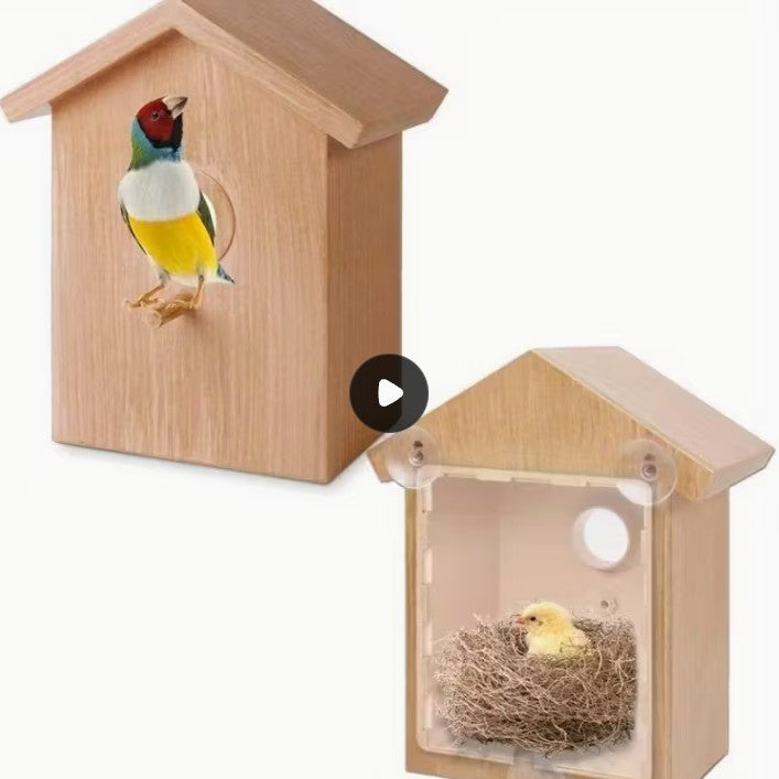 Nature Lovers Window Bird House for Up Close Bird Watching!