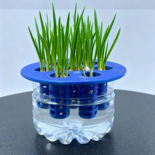 RE-GROW HERBS Mason Jar Insert - Hydroponic Windowsill Sprouting Green Onions & More