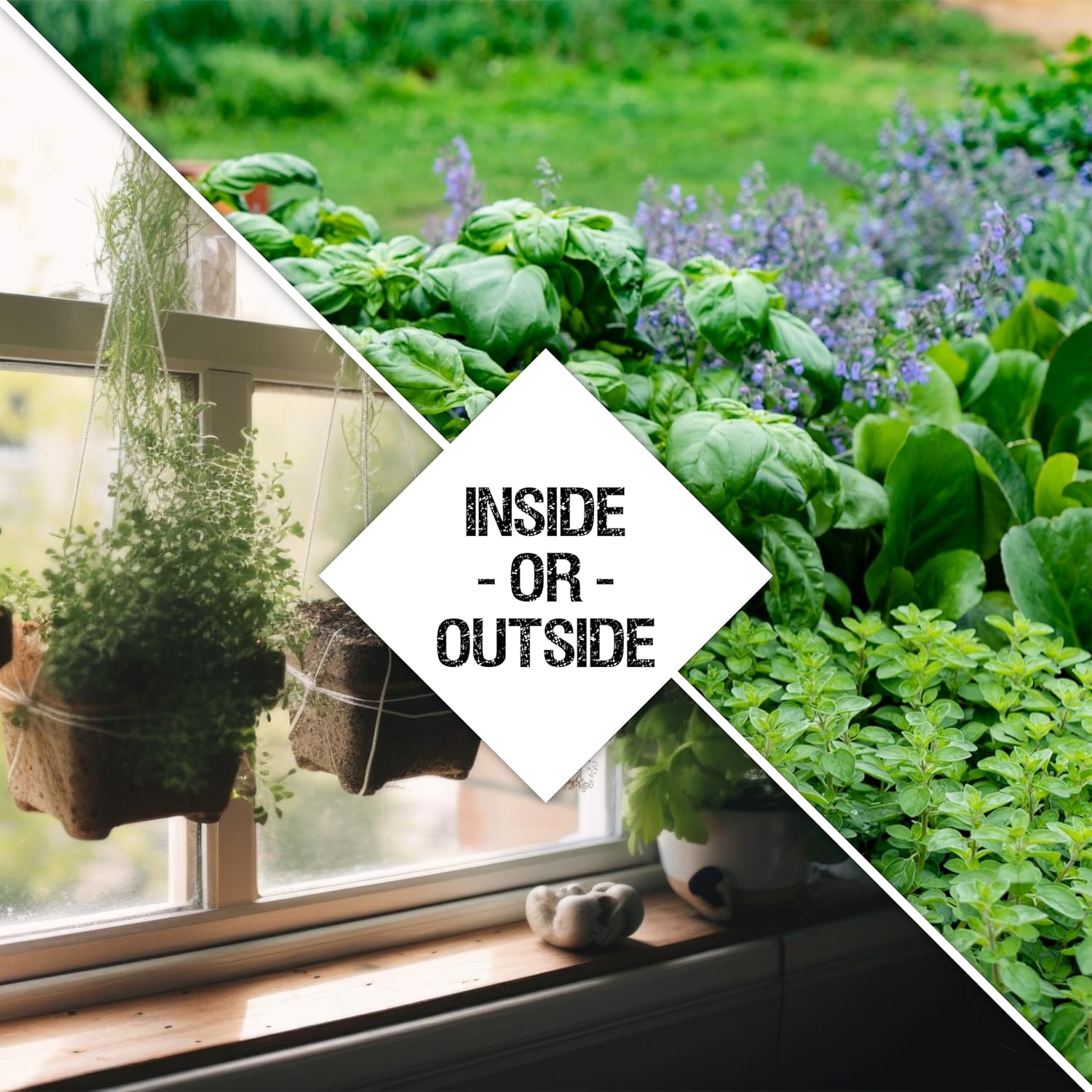 Basil, Chives, Cilantro, Dill, Marjoram, Oregano, Parsley, Sage, Thyme, Borage, Savory, Rosemary Seeds