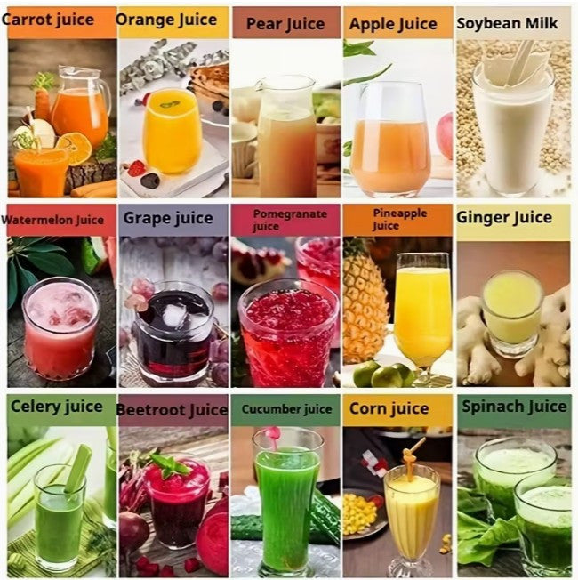 Multi-Function Juicer with Pulp Saver (A-2-4)