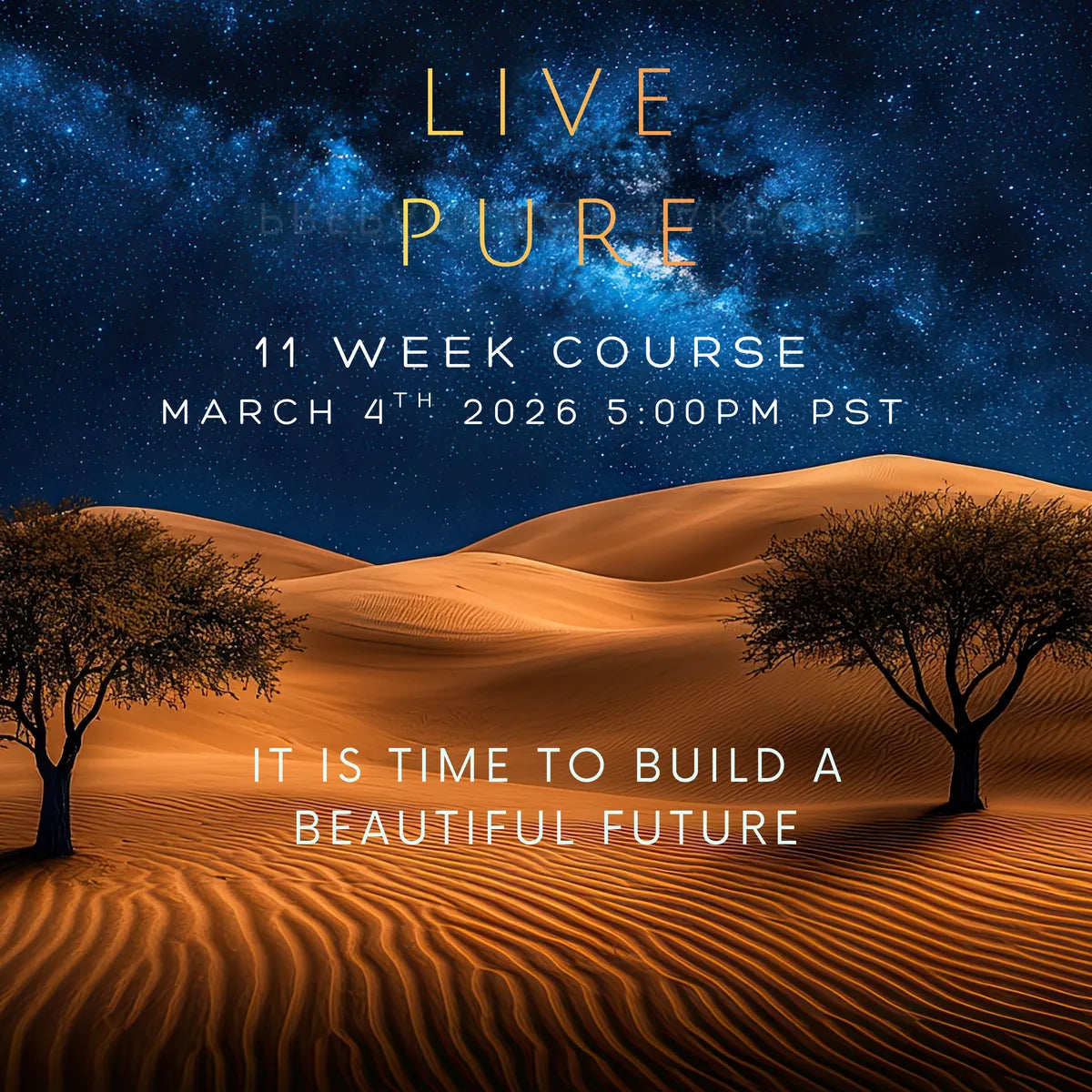 Purify Within 11 Week Course - March 2026