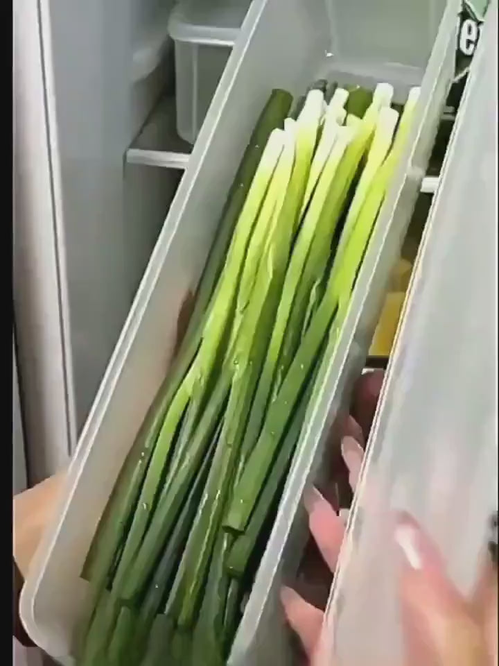 Load video: 6pc Set of Long Narrow Food Storage Containers - Asparagus, Fresh Herbs, Noodles &amp; More