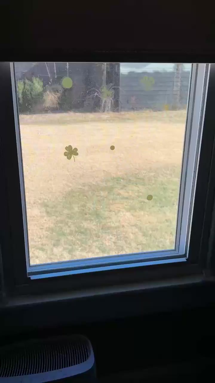 Load video: Nature Lovers Window Bird House for Up Close Bird Watching!
