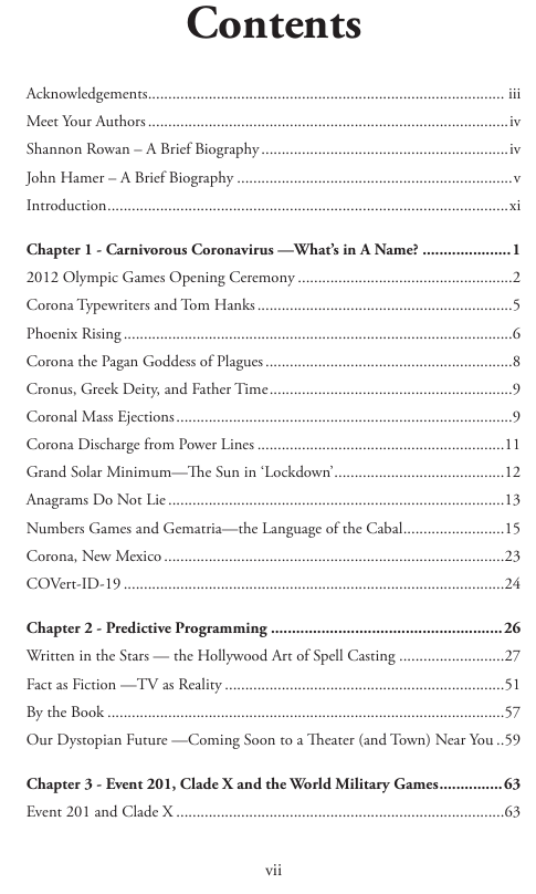 Welcome to the Masquerade: Prelude to the Coming Reset (eBook by John Hamer)